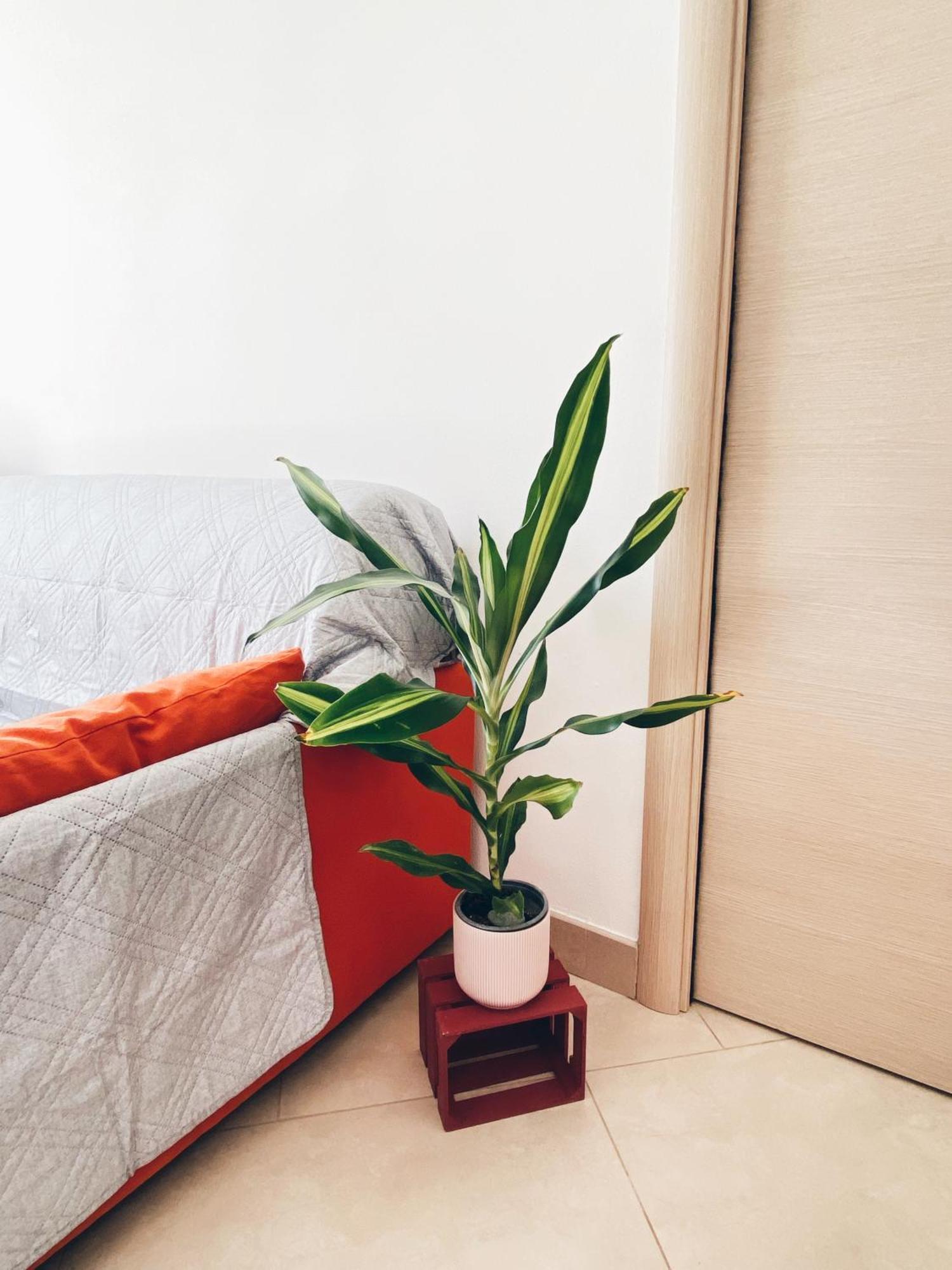 Apartment In Siena With Private Parking Luaran gambar
